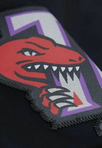 Tessuto nero con una toppa cucita che presenta un logo di drago rosso e nero, denti aguzzi e accenti viola che circondano una "T" bianca.