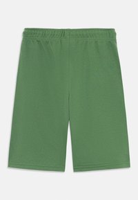 Shorts en coton verts avec une taille élastique, texture lisse et coupe mi-genoux, sans motifs ni accents supplémentaires.