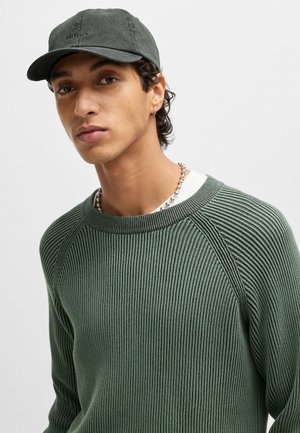 HUGO Pet - black one