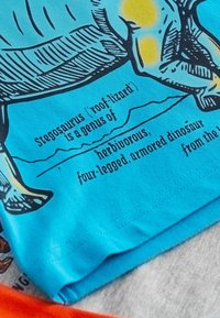 Next SHORT SLEEVE GRAPHIC 3 PACK STANDARD - T-Shirt print - red grey blue