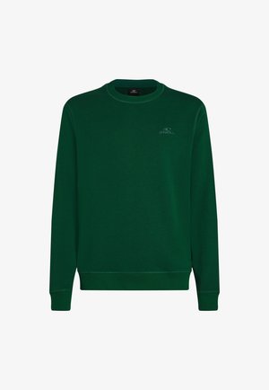 Žalias megztinis iš minkštos medžiagos, turi apvalią iškirptę, ilgomis rankovėmis, įrengtos guminės apykaklės ir mažas O'Neill logotipas ant krūtinės.