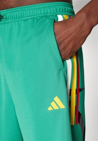 Green athletic shorts feature a textured fabric with a waistband and side pocket. Yellow Adidas logo and multi-color stripes on the sides.