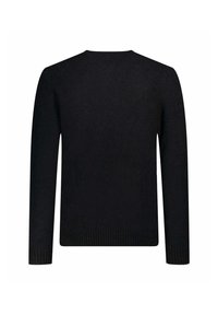 Maglione nero in lana, scollo rotondo, maniche lunghe, orlo e polsini a coste, design semplice, senza motivi o dettagli. Vista posteriore mostrata.