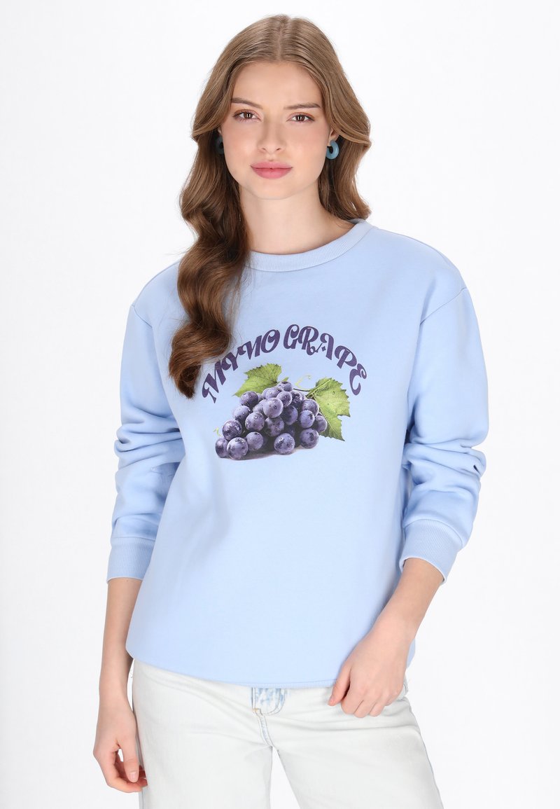Sudadera azul claro con un gráfico de uvas y hojas verdes, cuello redondo y puños acanalados. Textura de tejido suave.