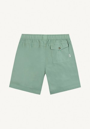Shorts de bain pour hommes vert clair avec taille élastique et une poche arrière droite à bouton unique.