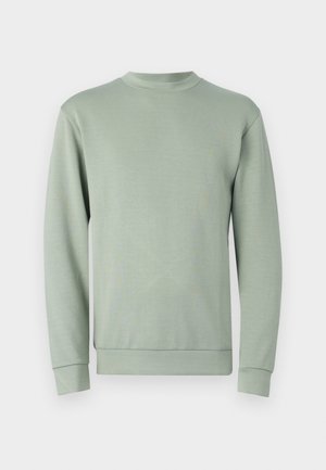 Light green sweatshirt, crew neck, long sleeves, ribbed cuffs and hem, soft texture, minimalistic design, no visible patterns or accents.