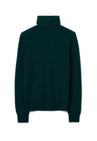 Maglione a dolcevita verde scuro realizzato in morbido tessuto a maglia, con maniche lunghe e una vestibilità aderente, caratterizzato da dettagli a coste al collo e all'orlo.
