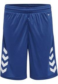 Non sélectionné, true blue