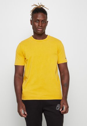 Champion Rochester CREWNECK - T-shirts basic - gyl