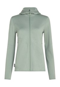Hoodie zippé vert clair en tissu lisse, doté d'un col montant et de manches longues. Comprend deux poches avant avec des détails de couture minimaux.