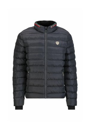 JASON - Winter jacket - fumo grey