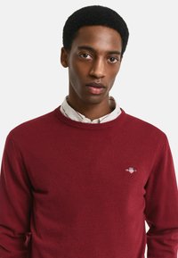 Burgunderfarbener Wollpullover mit Rundhalsausschnitt, weicher Textur und kleinem gesticktem Logo auf der Brust, kombiniert mit einem Hemd mit Kragen.