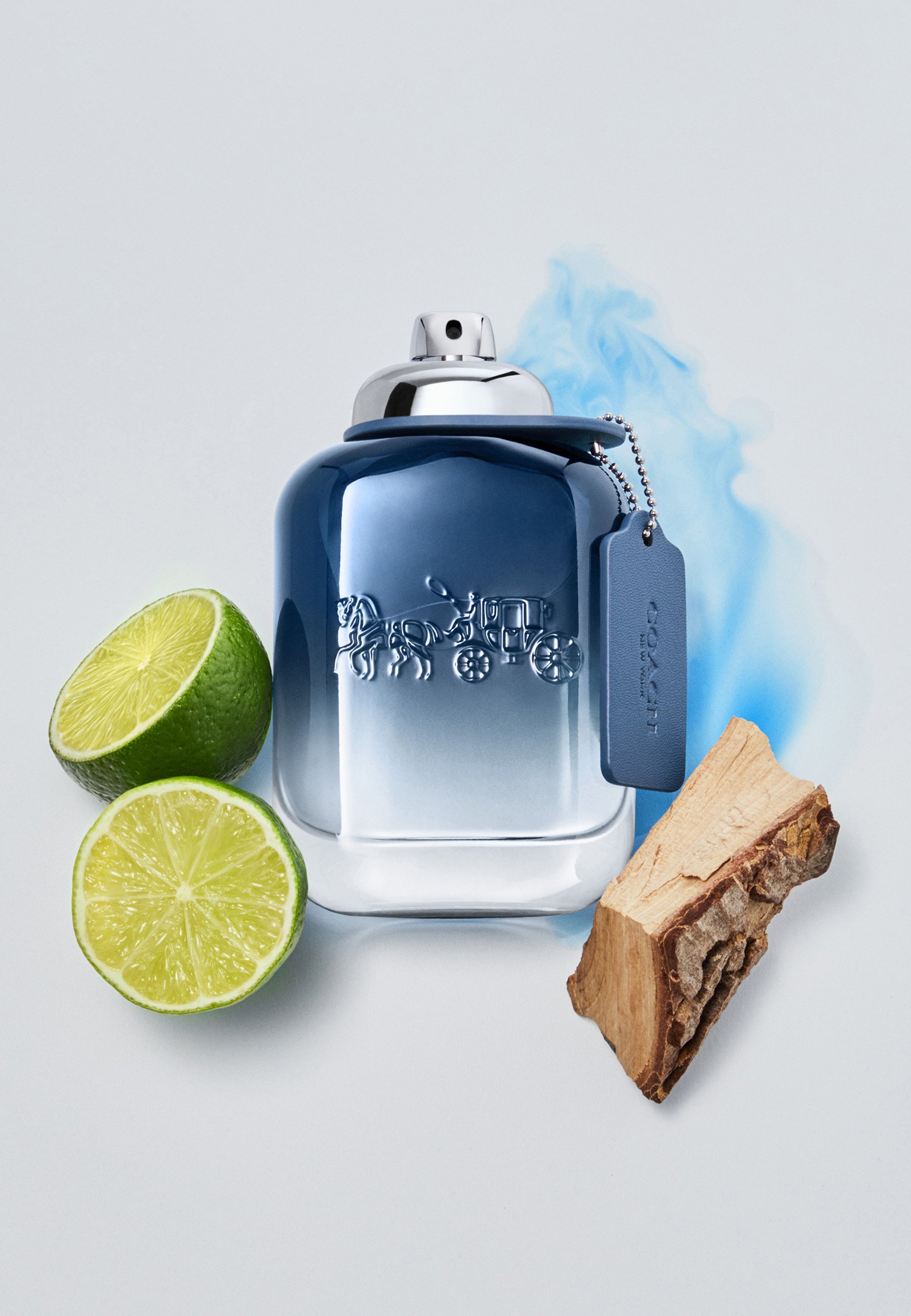 Coach Fragrances BLUE EAU DE TOILETTE - Eau de Toilette - Zalando