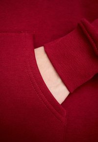Tommy Jeans LINEAR HOODIE - Felpa - regatta red
