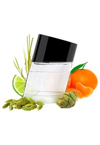 Bruno Banani Fragrance BRUNO BANANI PURE MAN EAU DE TOILETTE - Eau de Toilette