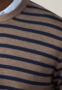 Braun- und marineblau gestreifter Pullover mit Rundhalsausschnitt, aus weichem Strickstoff gefertigt, mit glatter Textur und dezentem Glanz.