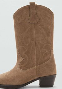 Bruine suède cowboylaars met decoratieve stiksels, taps toelopende neus, aantreklus en een gestapelde, lage hak. Gladde textuur en eenvoudige designdetails.