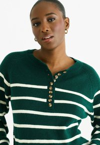 Dark green knit pullover sweater with white horizontal stripes. Features a henley neckline and seven decorative brown buttons down the front.