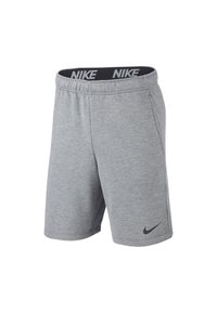 Grijze sportshorts met een zwarte elastische tailleband met de tekst "NIKE". Inclusief zijzakken en een klein zwart Swoosh-logo op het onderbeen.