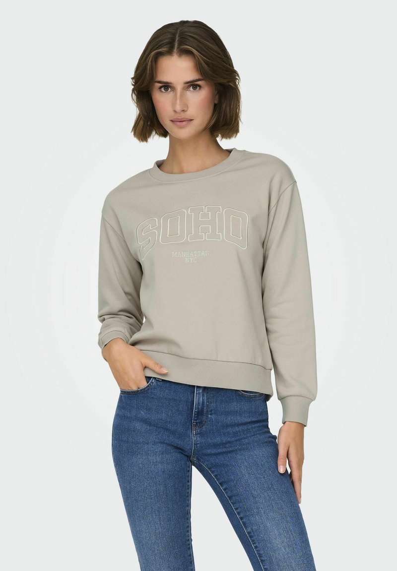 JDY JDYPARIS - Sudadera - chateau gray