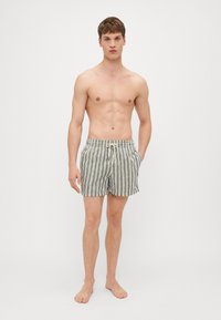 Herren Badeshorts mit vertikalen Streifen in verschiedenen Grüntönen und Weiß, ausgestattet mit elastischem Bund und Kordelzug. Zu den Details gehören seitliche Taschen.