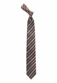 MULTI STRIPE - Slips - brown