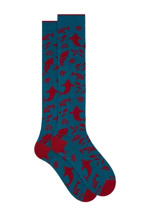 WITH PRIMORDIAL FISH PATTERN  - Knee high socks - azzurro