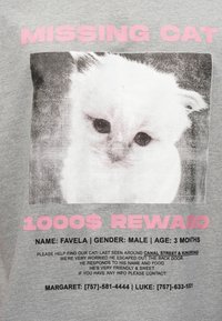 Affiche de chat perdu montrant un chaton blanc nommé Favela, mâle, âgé de 3 mois, avec une récompense de 1000 $ et des numéros de contact pour Margaret et Luke.