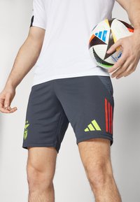 adidas Performance BENFICA LISSABON TRAINING SHORT - Športové šortky - night grey/semi solar red