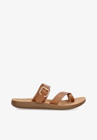 Seleccionado, brown