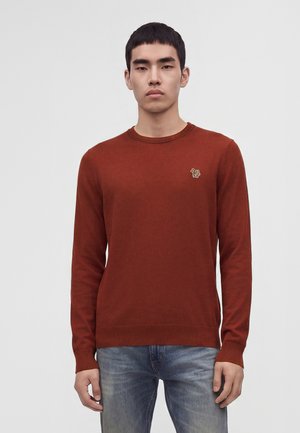Jeune homme aux cheveux courts et foncés, portant un pull ras du cou couleur rouille et un jean bleu, debout devant un fond clair uni.