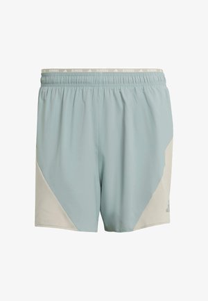 Pantaloncini da corsa celeste con un accento in mesh beige sul davanti, vita elastica con la scritta "RUNNING", tessuto leggero e design casual.