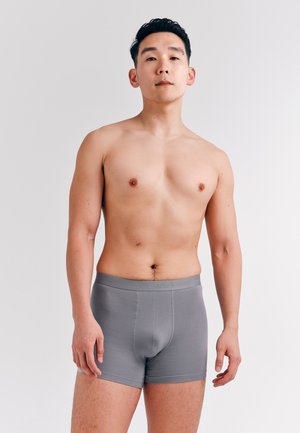 Oben ohne stehender Mann vor weißem Hintergrund, der enganliegende graue Boxerbriefs trägt, mit neutralem Gesichtsausdruck nach vorne gerichtet.