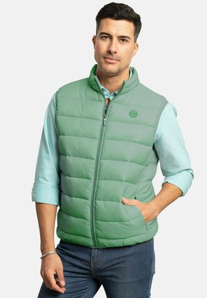 Chaleco acolchado verde con alto cuello, cremallera frontal y dos bolsillos laterales. Presenta costuras horizontales y un pequeño logo en el pecho.