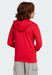 Rote Kapuzenjacke mit weichem Material, ausgestattet mit einer Kängurutasche und gerippten Bündchen. Von hinten gegen einen hellen Hintergrund betrachtet.