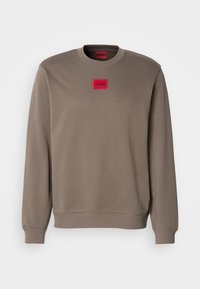 DIRAGOL - Ikdienas džemperis - medium grey