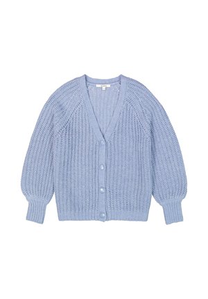 Light blue knitted cardigan with long puffed sleeves, ribbed cuffs, button closure, and a V-neck collar.