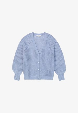 Light blue knitted cardigan with long puffed sleeves, ribbed cuffs, button closure, and a V-neck collar.