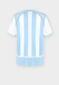 Αθλητική φανέλα με κοντά μανίκια, σε μπλε και λευκές κάθετες ρίγες, με λευκά μανίκια και χρυσή διακόσμηση στο επάνω μέρος της πλάτης.