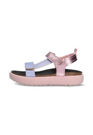 PADDY PAM - Sandalen - roze paars zwart