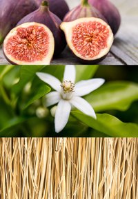 Tre bilder: modne lilla fiken med rosaaktig fruktkjøtt, en hvit sitrusblomst blant grønne blader, og en teksturert bunt av lys brun halm.