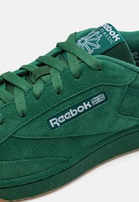 Zielone zamszowe tenisówki z sznurowadłami, z białym logo i emblematem. Gumowa podeszwa i fakturowany wzór po bokach dodają szczegółów.