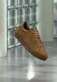 Non sélectionné, chestnut