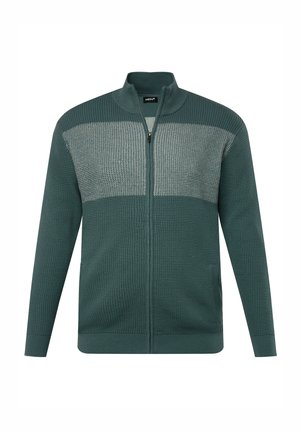 Cárdigan con cremallera en verde oscuro con un patrón de punto texturizado. Presenta una franja horizontal en gris claro a lo largo del pecho. Puños y dobladillo acanalados.