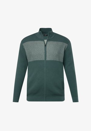 Lukket cardigan i mørkegrøn med et tekstureret strikkemønster. Har en lysegrå vandret stripe hen over brystet. Ribbede manchetter og kant.