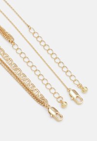 Pieces PCFRIDA COMBI NECKLACE 2 PACK - Colar - gold-coloured