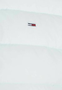 Tommy Jeans BASIC HOODED JACKET - Winter jacket - mint