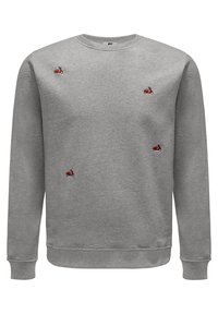 Slopes&Town VESPA EMBROIDERIES - Felpa - melange grey