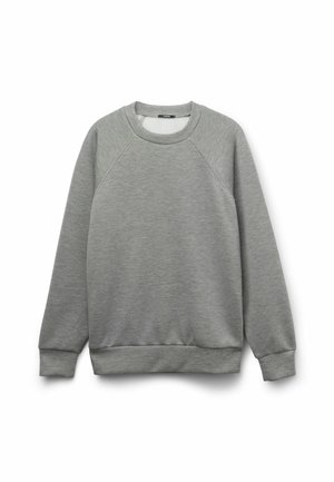 Schlichtes graues Sweatshirt mit Rundhalsausschnitt, langen Raglanärmeln sowie gerippten Bündchen an Ärmeln und Saum, dargestellt vor weißem Hintergrund.