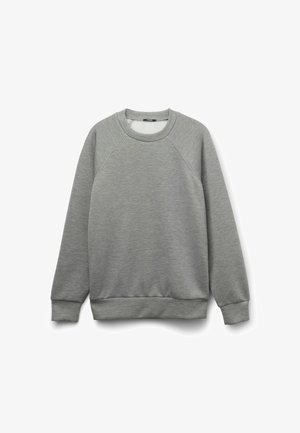 Schlichtes graues Sweatshirt mit Rundhalsausschnitt, langen Raglanärmeln sowie gerippten Bündchen an Ärmeln und Saum, dargestellt vor weißem Hintergrund.